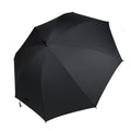 Fan Umbrella